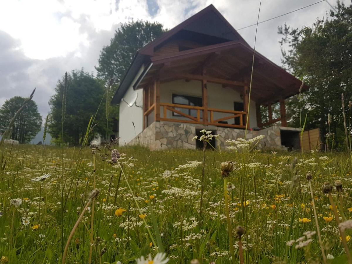 Eco Village Highlander Žabljak Extérieur photo