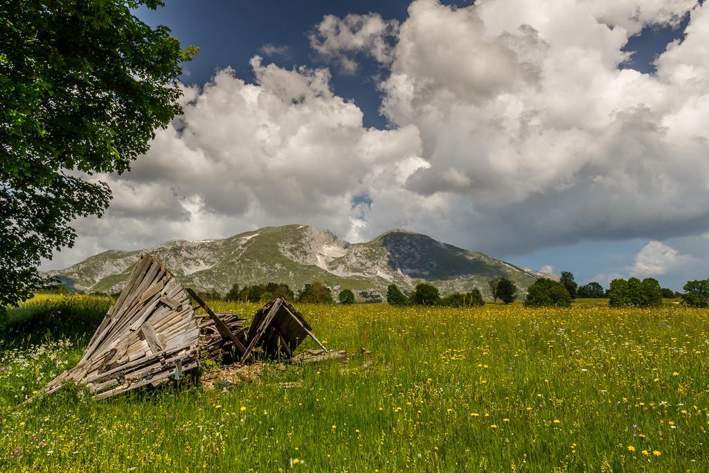 Eco Village Highlander Žabljak Extérieur photo